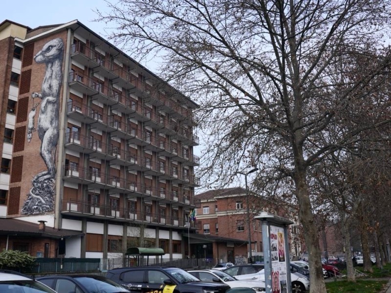 La donnola di ROA a Torino: ecologia urbana e controllo umano
